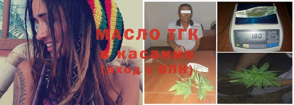 гашик Бородино