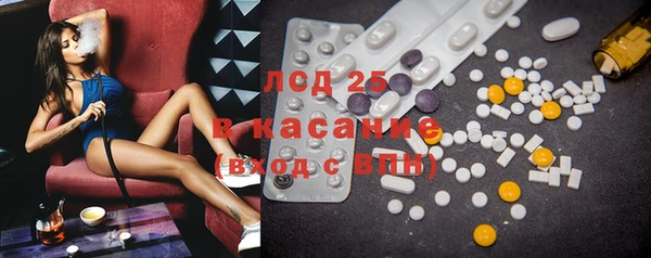 гашик Бородино