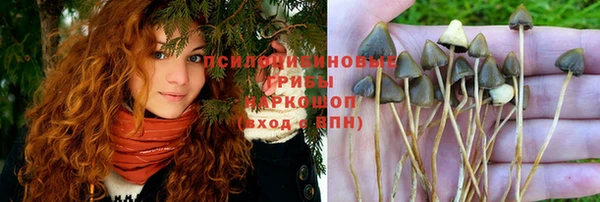 марки lsd Богородицк