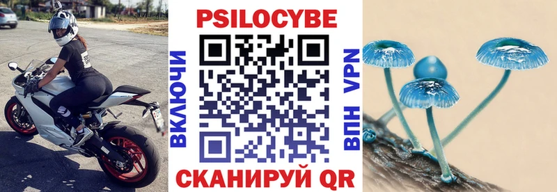 Купить где Киренск Псилоцибиновые грибы Cubensis